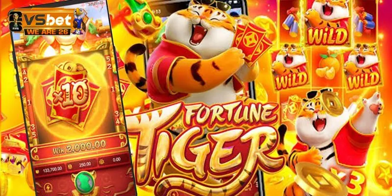 Hướng dẫn luật thi đấu Fortune Tiger cho người mới